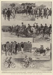 Stan wojenny w Cape Colony, nowy strażnik w Kapsztadzie